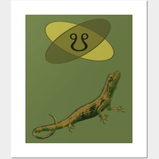 Ketu Lizard Posters and Art